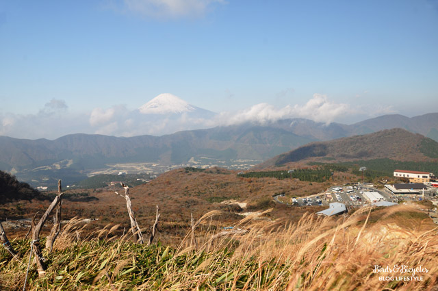 Balade dans la montagne à Hakone