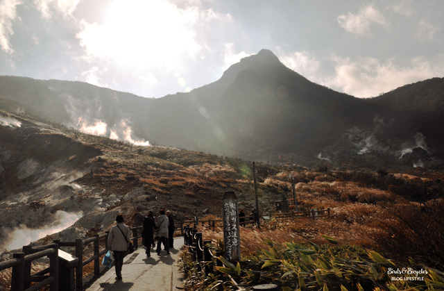 Blog voyage - Escale au Japon à Hakone! Owakudani, un paysage volcanique à voir
