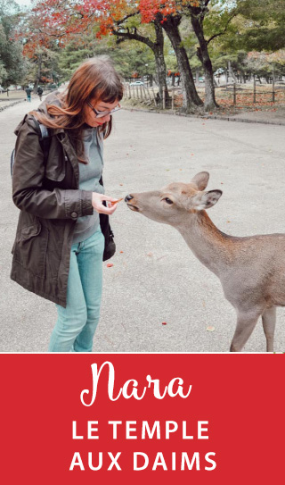 Rencontre avec les daims de Nara dans leur sanctuaire au Japon