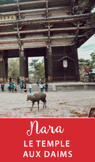 Voyage au Japon: découverte en photos de Nara et de son sanctuaire où des daims évoluent en liberté #japon