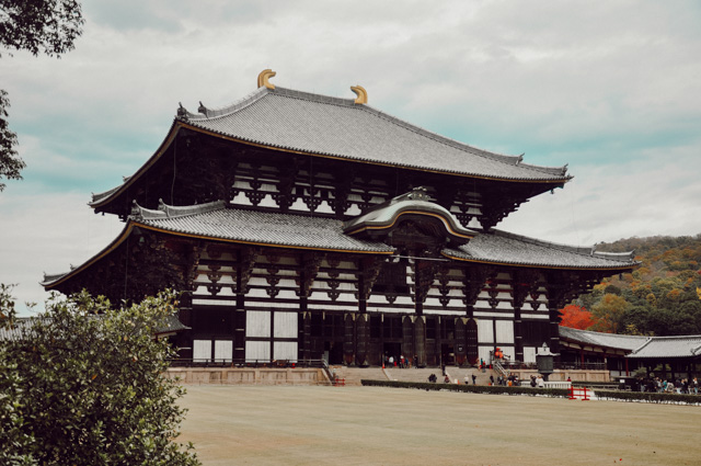 Les magnifiques temples de Nara - Voyage au Japon sur le blog