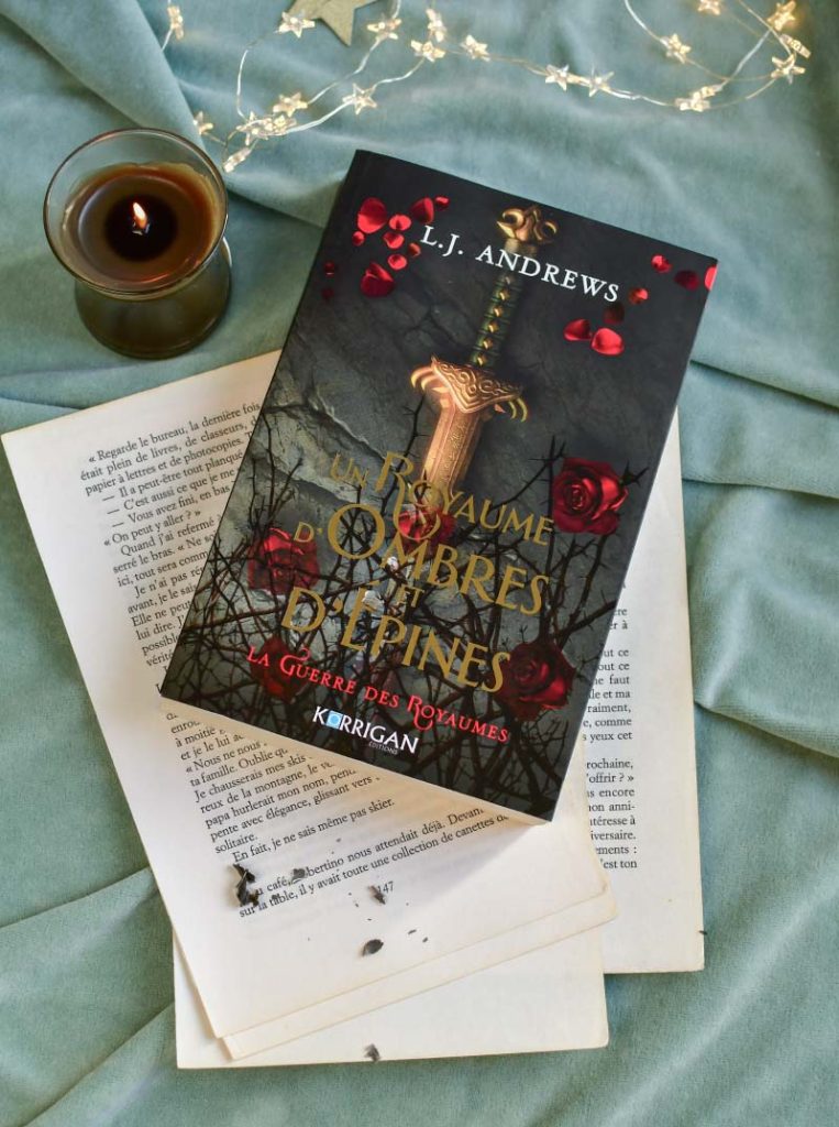 Une série de fantasy romance à découvrir sur le blog de lectures Birds & Bicycles