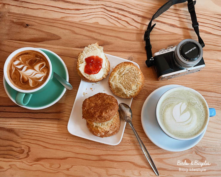 Blog de petits bonheurs et découvertes lifestyle en Alsace