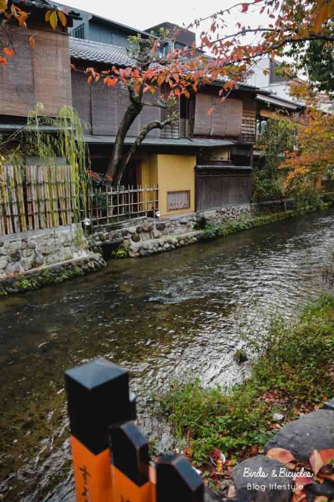 Rivière Kyoto