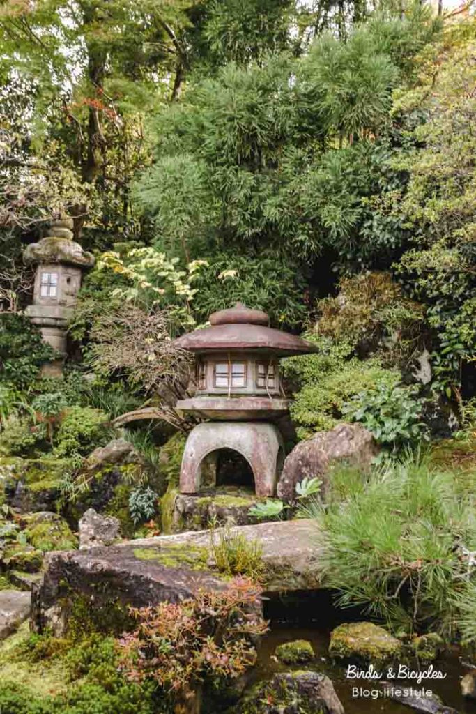 Jardin japonais du salon de thé