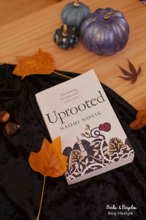 Mon avis sur Déracinée de Naomi Novik - roman fantasy