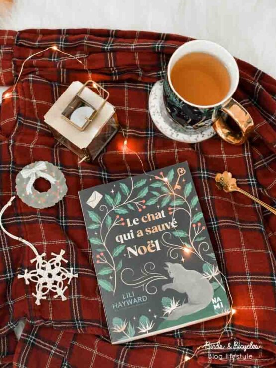 Conseil de lecture: un très beau roman de Noël en Angleterre