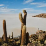 Mon itinéraire de 3 semaines en Bolivie (Désert Sel, Amazonie, La Paz, Lac Titicaca et Sucre)