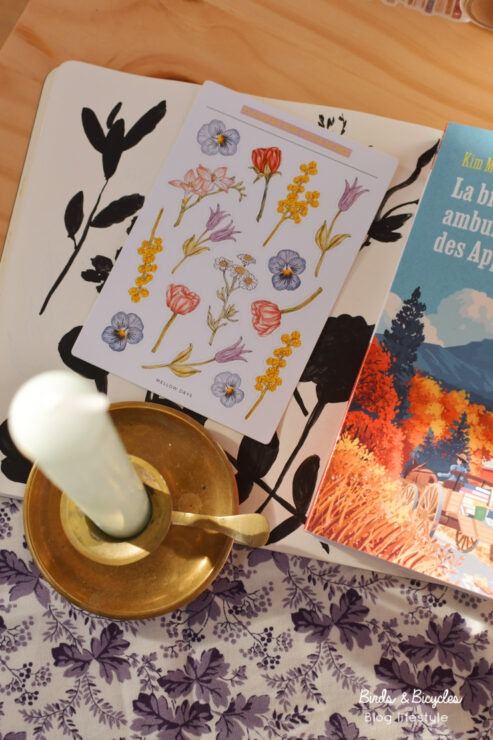 Conseil roman américain sur le blog littéraire Birds & Bicycles